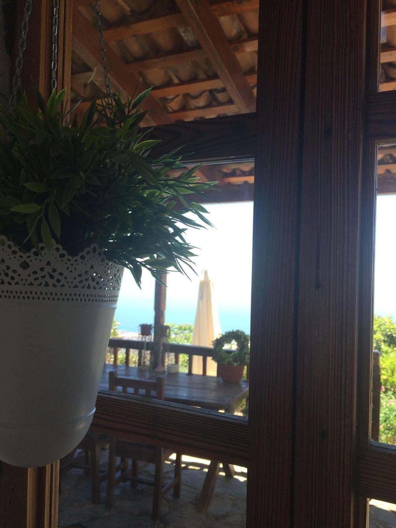 أذيخي Casa Rural Tajona & Granero المظهر الخارجي الصورة